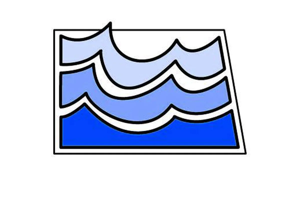 Waves Icon